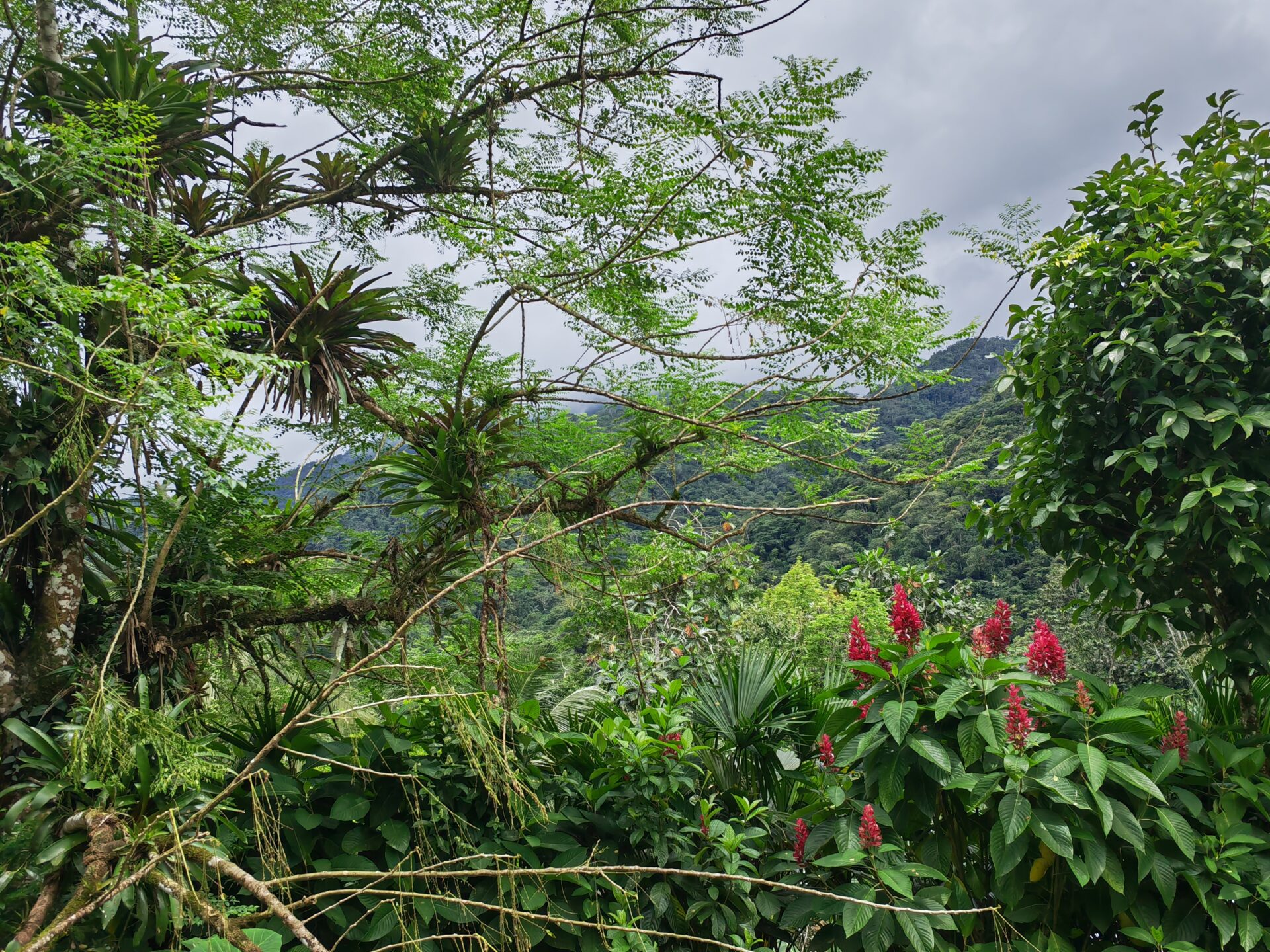 Trip to Indigenous territory during Biodiversity COP 16 