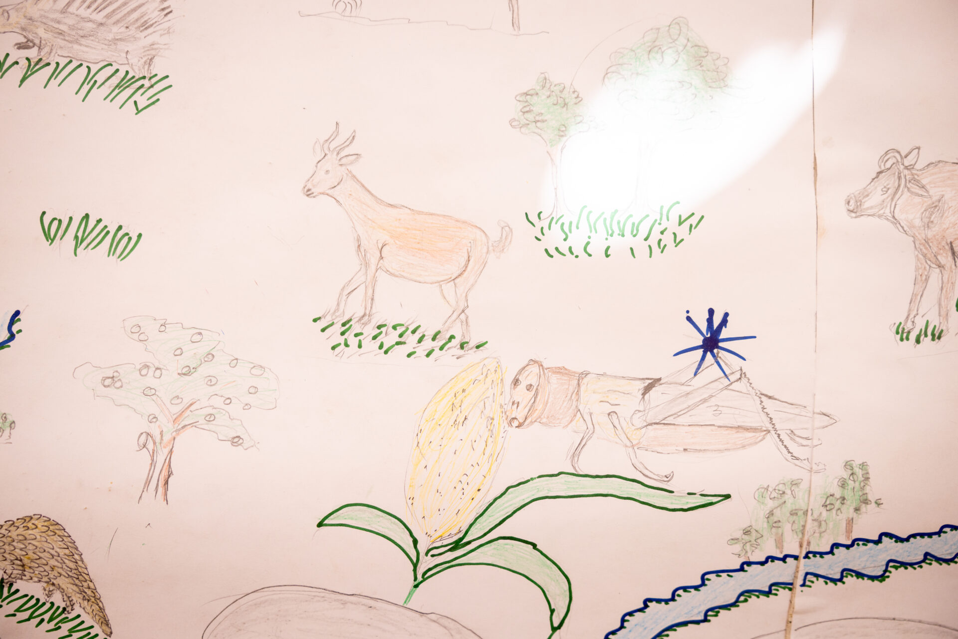 A detail of the ancestral map revealing the abundance of wild ones that once lived alongside people across the lands and waters of Zimbabwe, by Simon de Swardt